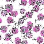 Colour:B
