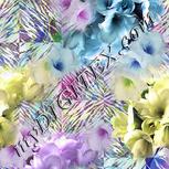 Colour:A