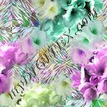 Colour:B