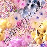 Colour:J