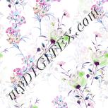 Colour:C