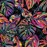 Colour:A