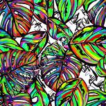 Colour:C