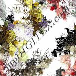 Colour:A