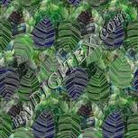 Colour:D
