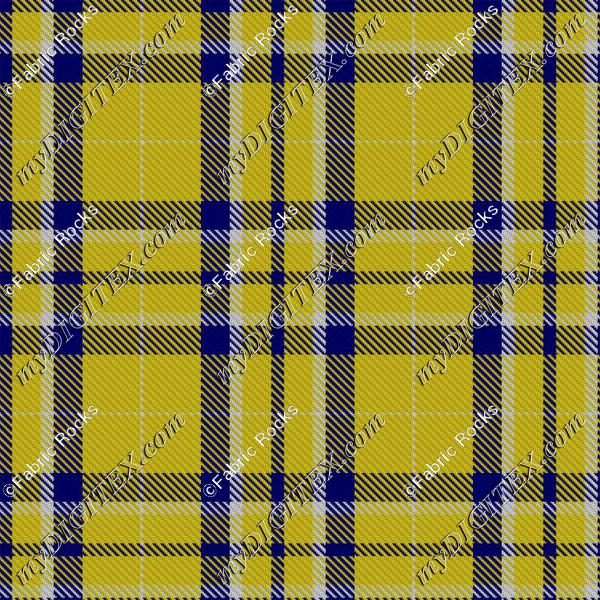 Blue & Gold Tartan