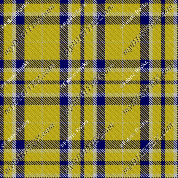 Blue & Gold Tartan