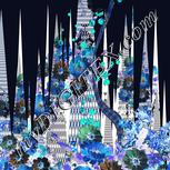 Colour:F