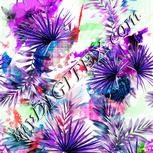 Colour:B