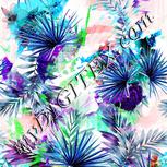Colour:C
