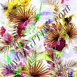 Colour:D