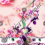 Colour:B