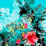 Colour:A