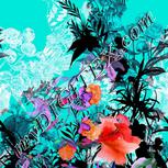 Colour:B