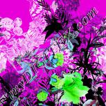 Colour:C