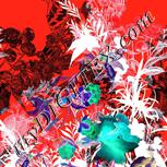 Colour:F