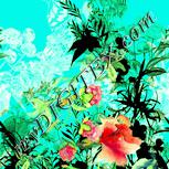 Colour:K