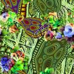 Colour:K