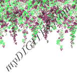 Colour:C