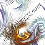 Colour:F