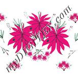 Colour:B