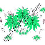 Colour:C