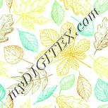 Colour:K
