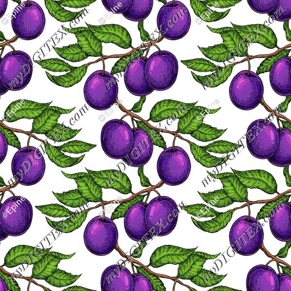 Plum