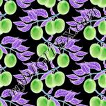 Colour:F