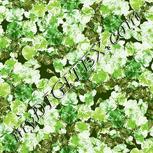 Colour:D