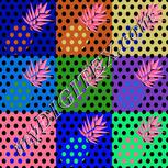 Colour:F