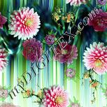 Colour:K