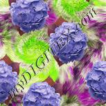 Colour:D