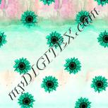 Colour:K