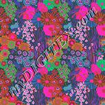 Colour:B