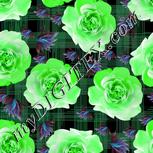 Colour:C