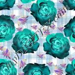 Colour:F