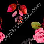 Colour:A