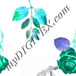 Colour:F