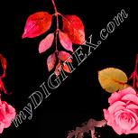 Colour:J