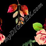Colour:K