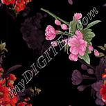 Colour:A