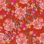 Colour:B