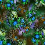 Colour:F