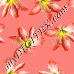 Colour:J