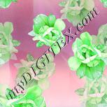 Colour:C