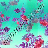 Colour:B