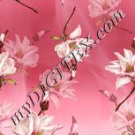 Colour:A