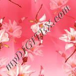 Colour:J