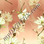 Colour:K